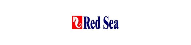 RED SEA