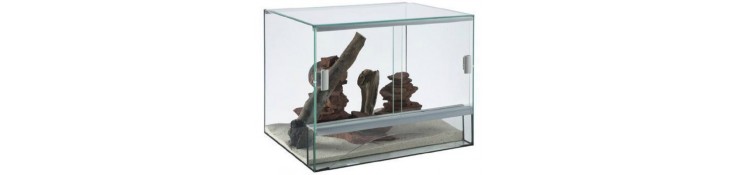 Reptiles - Terrariums