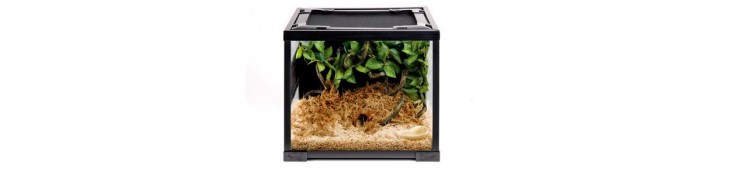 Terrarium et habitat