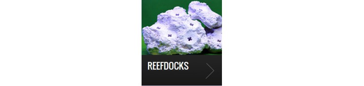 Reefdocks colonisés