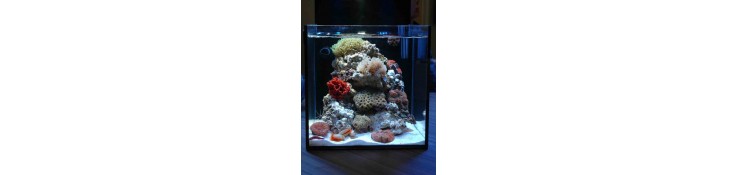 Aquarium AQUAMEDIC