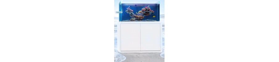 Aquarium NYOS