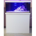 Aquarium récif 480L 100x80xh60