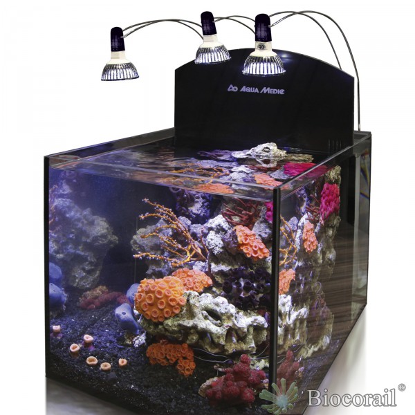 YASHA 33L AQUA MEDIC + ROCHES ALVEO 
