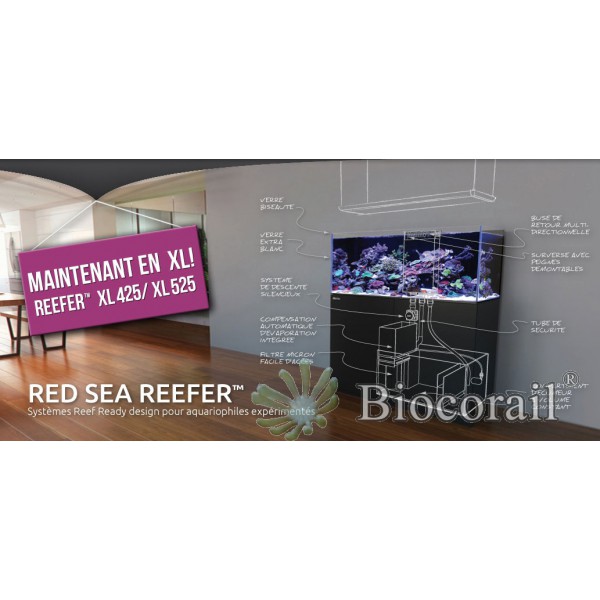 Reefer XL 525 Blanc (Aqua + mbl) Reefer XL 525 Blanc (Aqua + mbl)