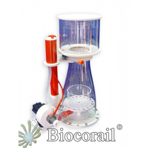 ÉCUMEUR DOUBLE CONE 180 - BUBBLE KING- ROYAL EXCLUSIV