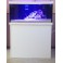 Aquarium récif 520L 160x80xh60cm