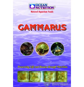 Gammarus - OCEAN NUTRITION