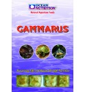 Gammarus - OCEAN NUTRITION