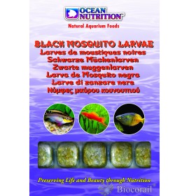 Larves de moustiques noires - OCEAN NUTRITION