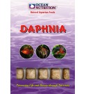 Daphnies - OCEAN NUTRITION