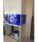 Aquarium sécurisé pour HEPAD maison de retraite et collectivité