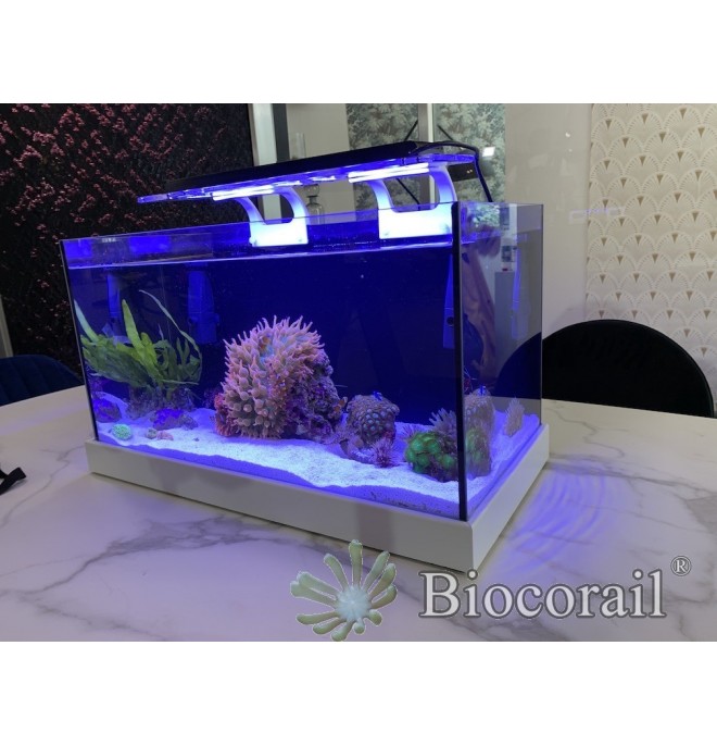 Aquarium 63 L complet