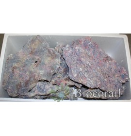 Shelf - Mix Box 25kg - Dutch Reef Rock Plate
