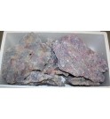 Shelf - Mix Box 25kg - Dutch Reef Rock Plate