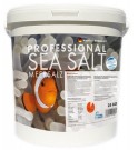 Professional Sea Salt - 25kg Seau