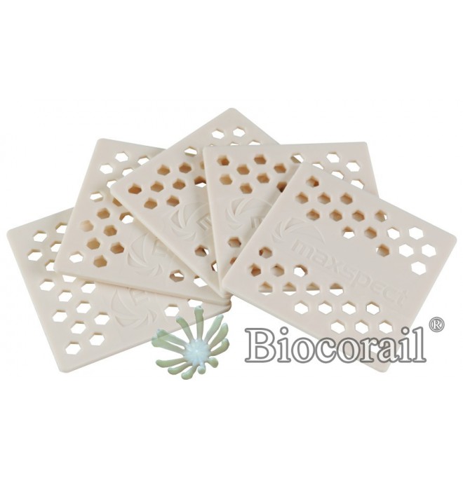 Catalyseur de dénitrification 5pcs pour Maxspect Anaerobic Block Catalyseur de dénitrification 5pcs pour Maxspect Anaerobic Block