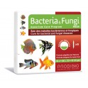 Bacteria & Fungi Fresh - 6 ampoules - PRODIBIO