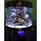 Devis pour aquarium en   methachrylate ou en verre de grosse épaisseur ou aquarium à intégrer sans support