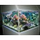 Devis Aquarium sur Mesure 