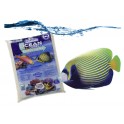 Ocean Direct Original Grade - 9,07 kg - CARIBSEA