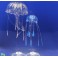 Meduse JBL medusa set S+M 10,58€