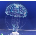 Meduse JBL medusa XL 11,20€