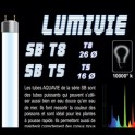 Tube T5 - Blanc Intense - Série B - Lumivie- 39W - 85 cm - AQUAVIE