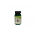 Calcium/Vitamins for Herbivores 115 GR - KOMODO