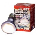 Néodynium Basking  Spot Daylight - 40W - HOBBY
