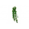 Split Philodendron Plant 40 cm - KOMODO
