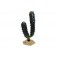 Finger Cactus 20 cm - KOMODO