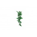 Persian Lily Silk Vine 60 cm - KOMODO