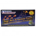 Recharge Separt - Art Artemia Cysts - 25 gr- OCEAN NUTRITION